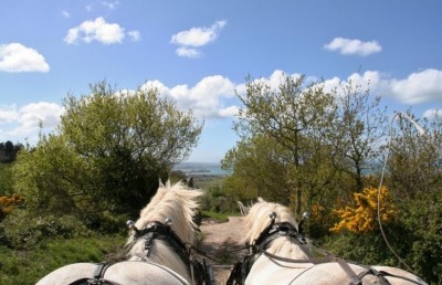 attelage-cotentin-balade-cheval-decouvriri-le-cote__